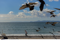 Αίθριος ο καιρός σήμερα: Ανεβαίνει η θερμοκρασία, πού θα βρέξει