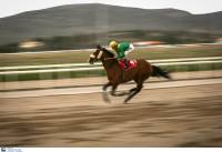 Ιπποδρομίες Α.Ε.: Εξελίξεις σχετικά με τις ελληνικές ιπποδρομίες