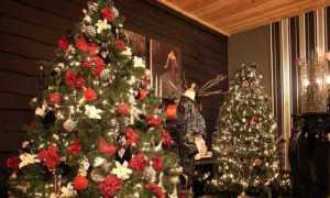 ΚΕΠΚΑ: Μεγάλες αποκλίσεις στις τιμές των χριστουγεννιάτικων δέντρων