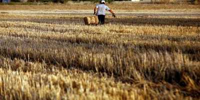 Η απόφαση για την ενιαία ενίσχυση σε ''νέους'' αγρότες