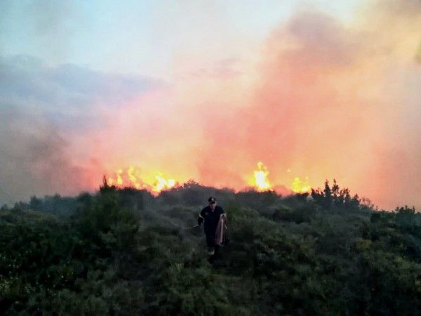 Υπό έλεγχο τέθηκε πυρκαγιά στην Κύμη Ευβοίας μετά από πολύωρη μάχη με τις φλόγες (pics+vid)