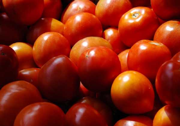 Παιδιά με αναπηρία καλλιεργούν λαχανικά