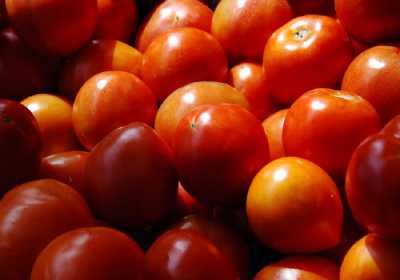 Παιδιά με αναπηρία καλλιεργούν λαχανικά