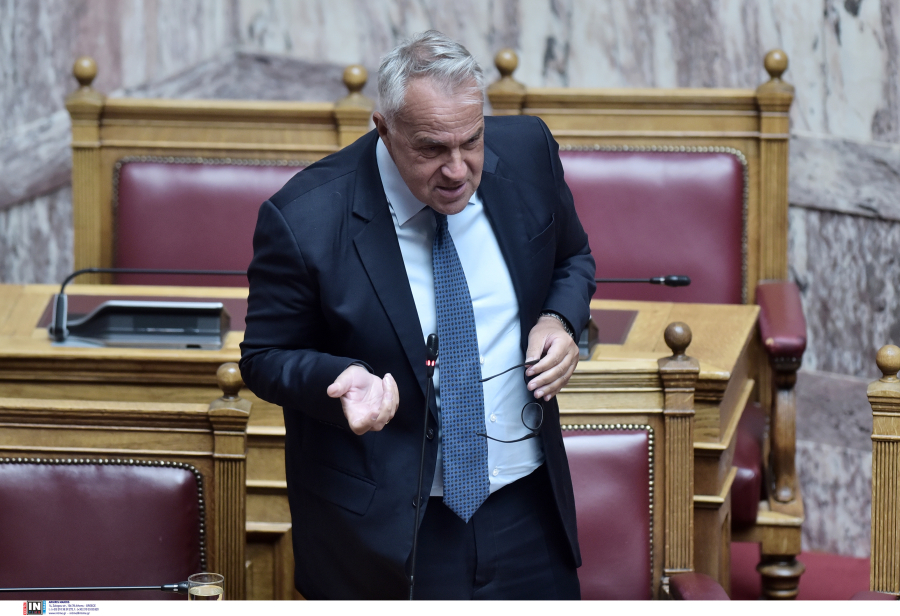 Η Greenpeace τρολάρει δηλώσεις Βορίδη: «Να φτιάξουμε υποδομές για κάτι που γίνεται μία φορά στα 400 χρόνια;»