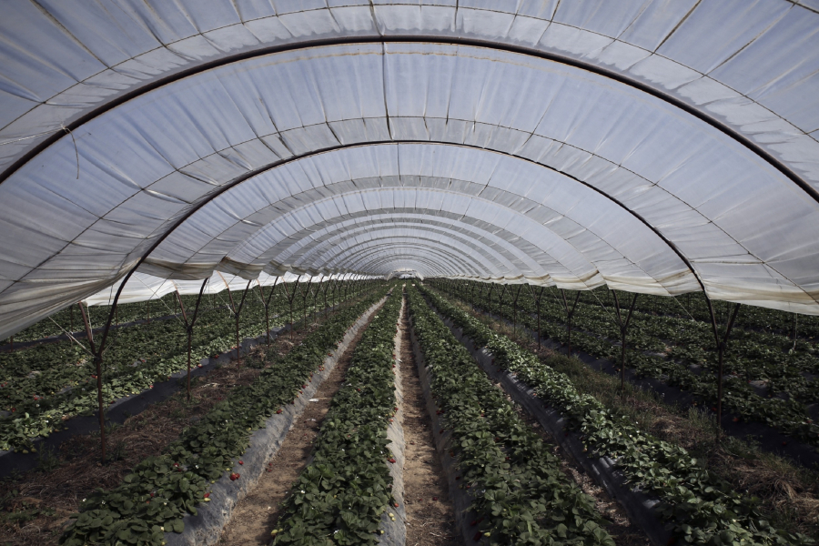 ΟΠΕΚΕΠΕ: Έλεγχος της Ευρωπαϊκής Εισαγγελίας στα αρχεία του - Η ανακοίνωση του Οργανισμού