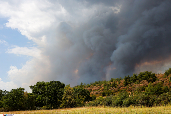 Στο κόκκινο την Κυριακή 5 περιφέρειες, πολύ υψηλός κίνδυνος πυρκαγιάς