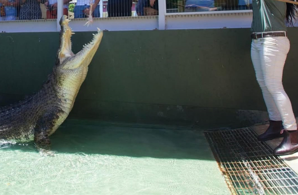 Πέθανε ο κροκόδειλος από το «Crocodile Dundee» - Ήταν πάνω από 90 ετών