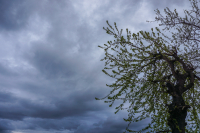 Από την άνοιξη στο…φθινόπωρο: Πέφτει η θερμοκρασία από Τετάρτη - Πού θα βρέξει