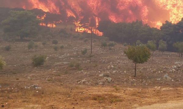 Ζάκυνθος: Ανεξέλεγκτη η φωτιά - Ολονύχτια μάχη με τις φλόγες - Πάνω από 10χλμ. το πύρινο μέτωπο