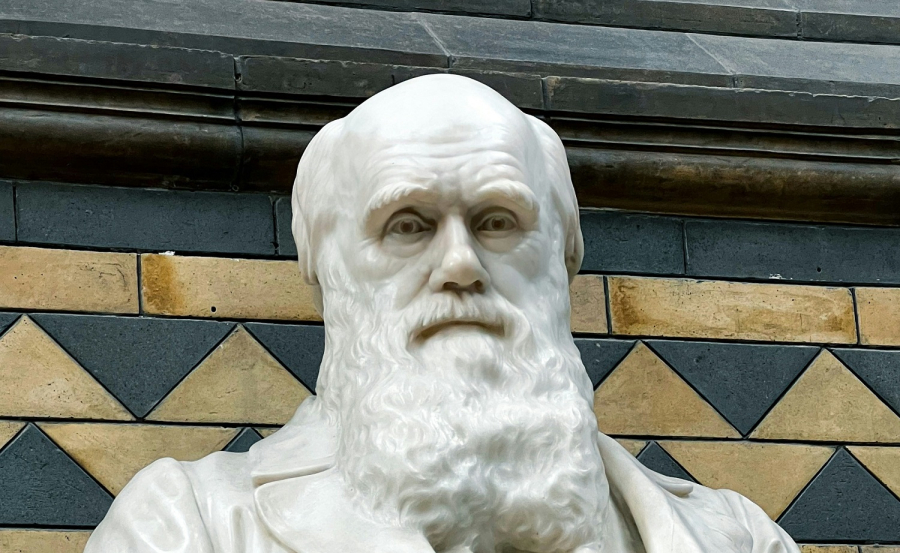 Στον Κατάλογο Παγκόσμιας Μνήμης της UNESCO πέρασε από χθες το αρχείο του Κάρολου Δαρβίνου