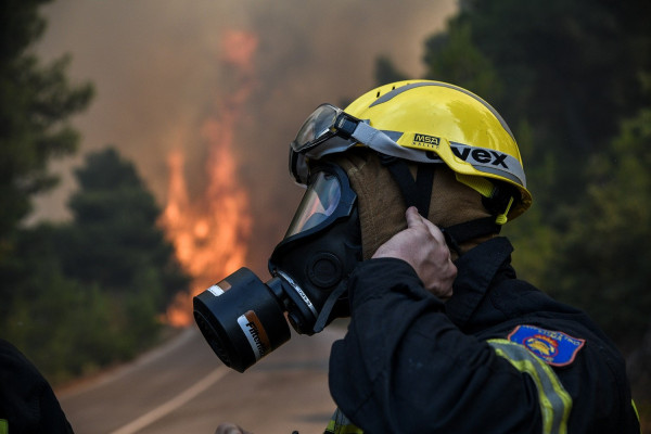 Φωτιά στην Κεφαλονιά - Εκκενώθηκαν τουριστικά καταλύματα - Ενισχύθηκαν οι πυροσβεστικές δυνάμεις