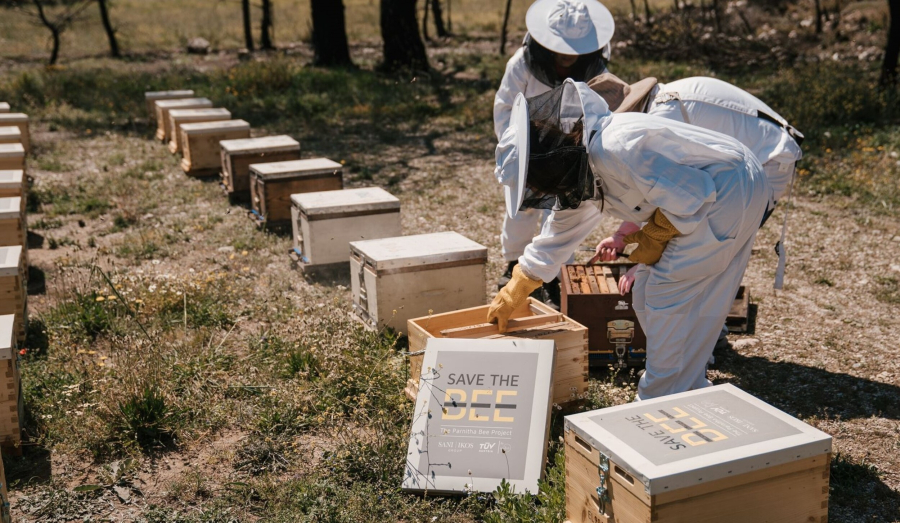 Πρωτοβουλία TÜV AUSTRIA Hellas και SANI/ IKOS για την ανασυγκρότηση της βιοποικιλότητας της Πάρνηθας