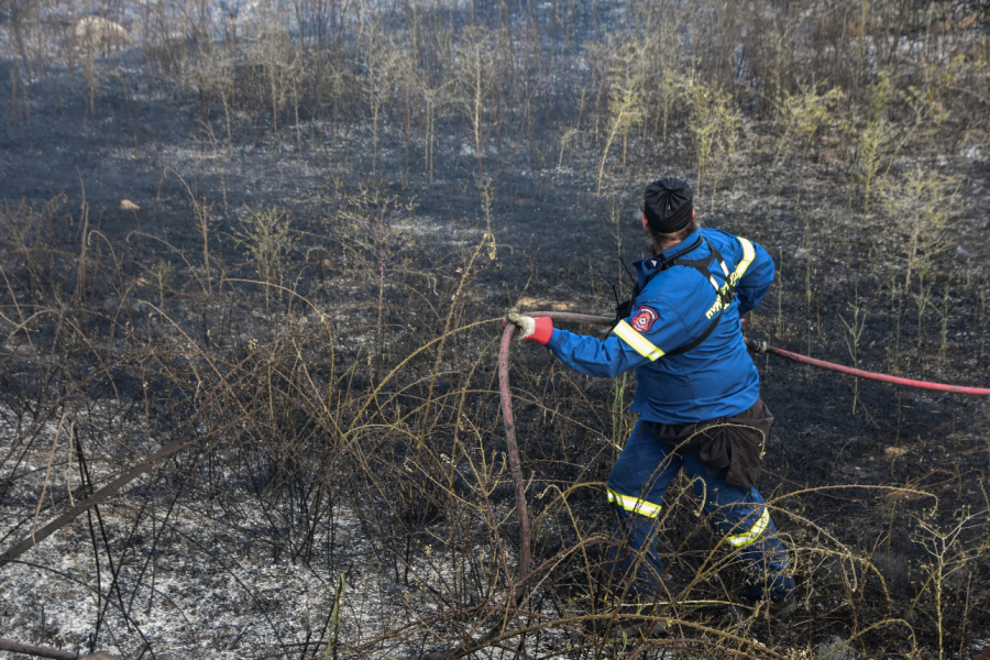 Κικίλιας: Ομολόγησε 30χρονος τρεις πυρκαγιές στην Μεσσηνία