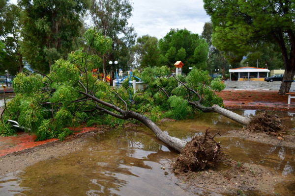 photo: ΑΠΕ - ΜΠΕ