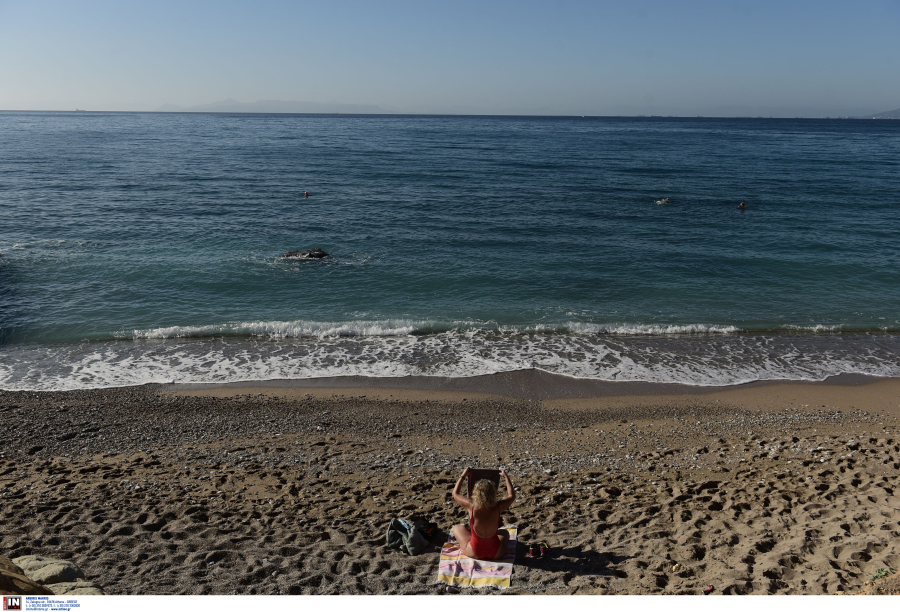Μέδουσες από την Ερυθρά Θάλασσα εντοπίστηκαν σε παραλίες στη Ρόδο