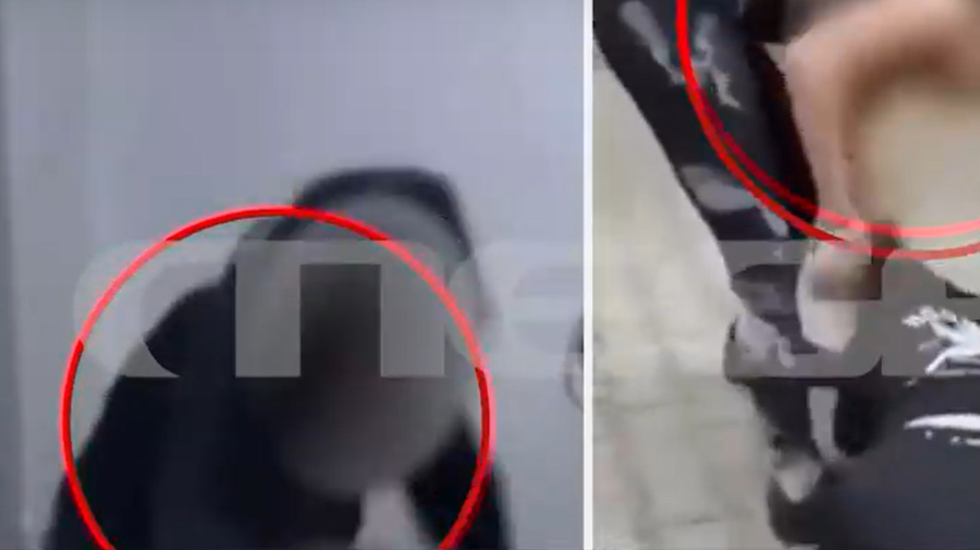 Ξυλοδαρμός ανήλικης στη Νίκαια: Η 14χρονη έχει επιτεθεί και σε άλλα κορίτσια -Βίντεο