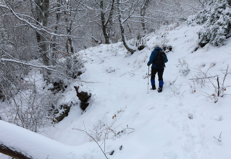 Καιρός: Πού θα πέσουν χιόνια - Έκτακτο δελτίο της ΕΜΥ για την τριήμερη ψυχρή εισβολή