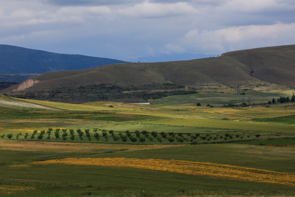 ΑΑΔΕ - ΟΠΕΚΕΠΕ: Στον εισαγγελέα 50 μαζικές διαγραφές αγρών στο Ε9 - Στο μικροσκόπιο 3.000