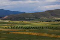 ΑΑΔΕ - ΟΠΕΚΕΠΕ: Στον εισαγγελέα 50 μαζικές διαγραφές αγρών στο Ε9 - Στο μικροσκόπιο 3.000
