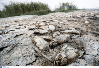 Η ξηρασία του εδάφους στην χώρα πλησιάζει το 40%