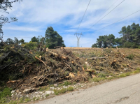 Ακαθάριστα οικόπεδα: «Γυμνοί» οι δήμοι απέναντι στις φωτιές - Αγνοούνται οι ζώνες πυροπροστασίας