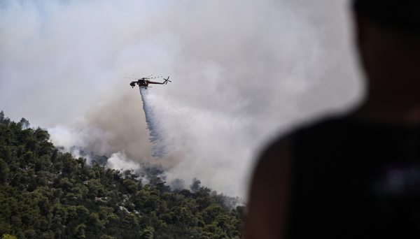 Φωτιά τώρα στην Άρτα