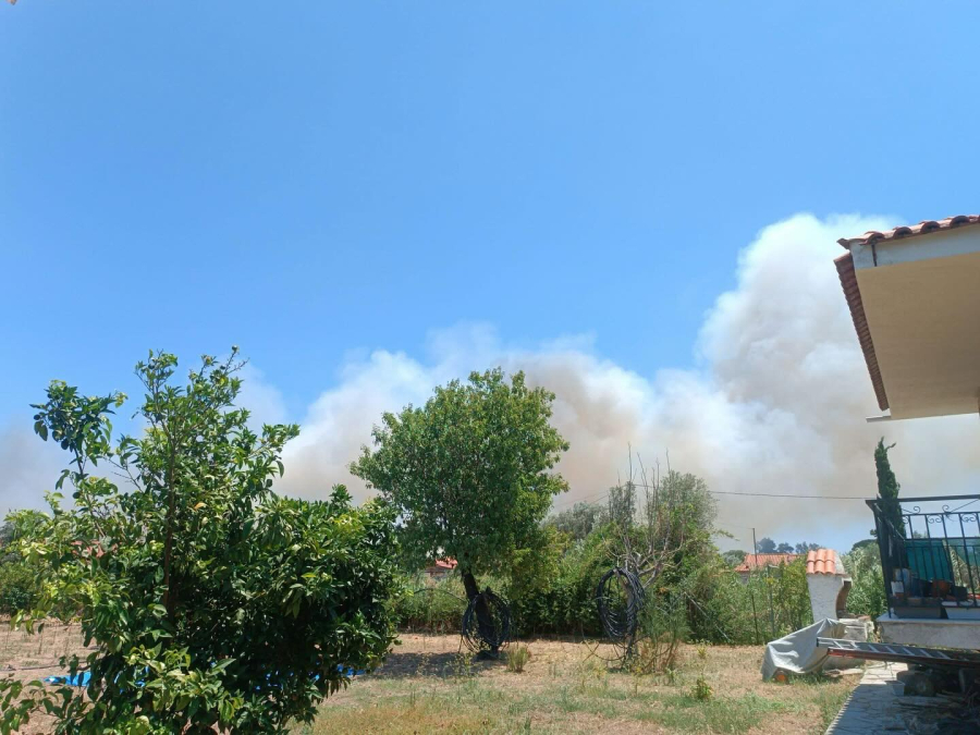 Φωτιά τώρα στο Μαραθώνα