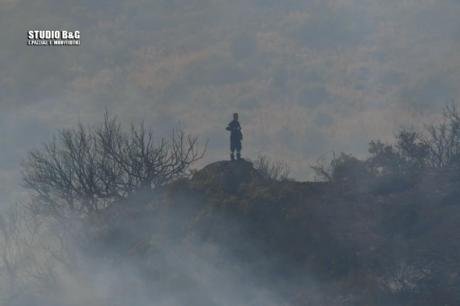 Φωτιά στην Αργολίδα: Εκκενώθηκε το χωριό Γκάτζια, το μήνυμα από το 112 και την Πολιτική Προστασία (εικόνες)