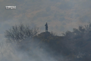 Φωτιά στην Αργολίδα: Εκκενώθηκε το χωριό Γκάτζια, το μήνυμα από το 112 και την Πολιτική Προστασία (εικόνες)