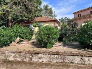 Λάρισα: Χαλάζι και ανεμοθύελλα σάρωσαν τον δήμο Κιλελέρ - Μεγάλες ζημιές και στις καλλιέργειες