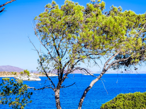 Ο καιρός σήμερα: Μικρή άνοδος της θερμοκρασίας - Πού θα δείξει 35 βαθμούς Κελσίου ο υδράργυρος