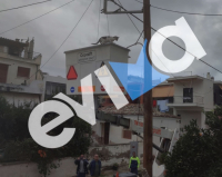 Εύβοια: Επιχείρηση απεγκλωβισμού γάτας από κολώνα της ΔΕΗ