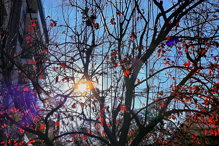 Μeteo: Ο φετινός χειμώνας ήταν ο 13ος θερμότερος στα χρονικά στην Ελλάδα