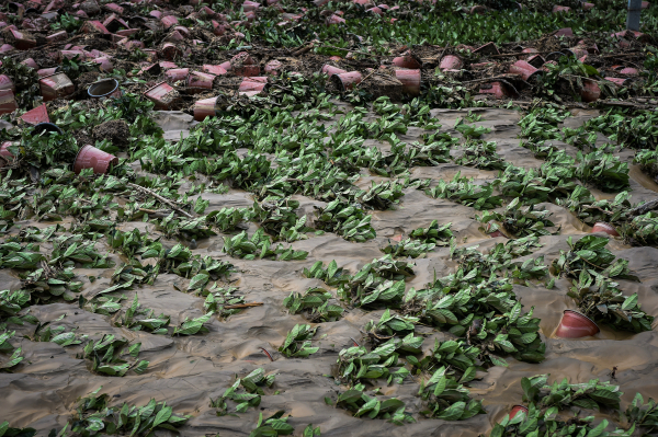 HELLENiQ ENERGY: Δωρεά 10 εκατομμυρίων ευρώ για τη στήριξη των πληγέντων από τις καταστροφικές πλημμύρες