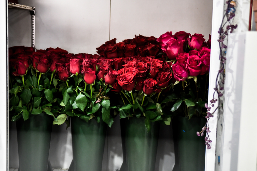 Εορτολόγιο: Ποιοι γιορτάζουν σήμερα Δευτέρα 6 Φεβρουαρίου