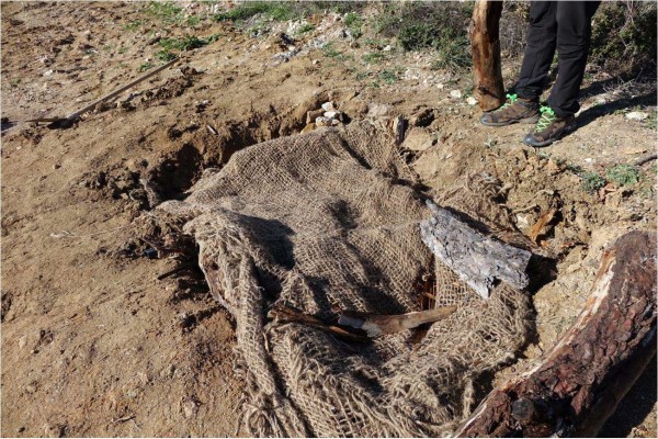 Λάκκους για... φίδια έφτιαξαν επιστήμονες