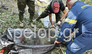 «Πετάχτηκε από τις καλαμιές»: Τραγωδία στην Πάτρα με τον νεκρό 52χρονο