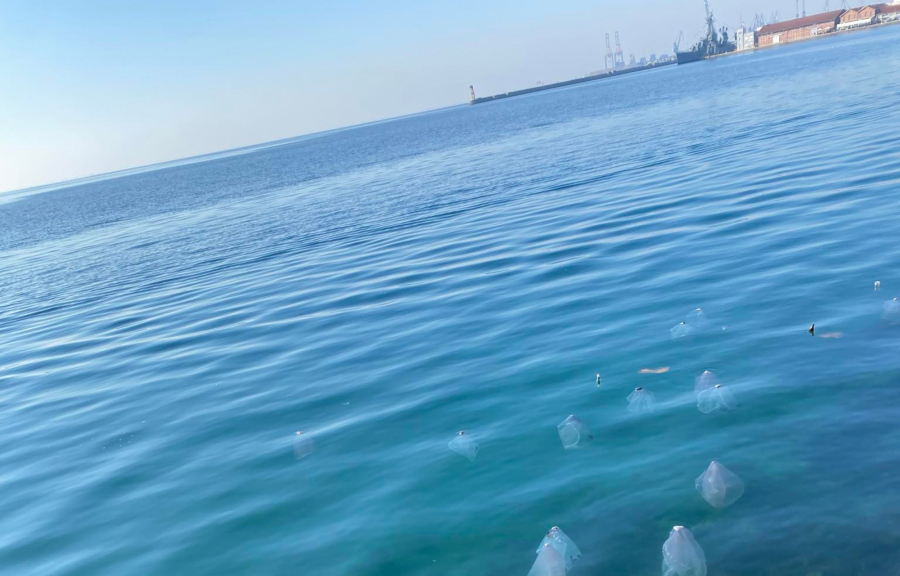 Το περίεργο θέαμα στον Θερμαϊκό: Νόμιζαν πως είναι μέδουσες, τι ήταν τελικά