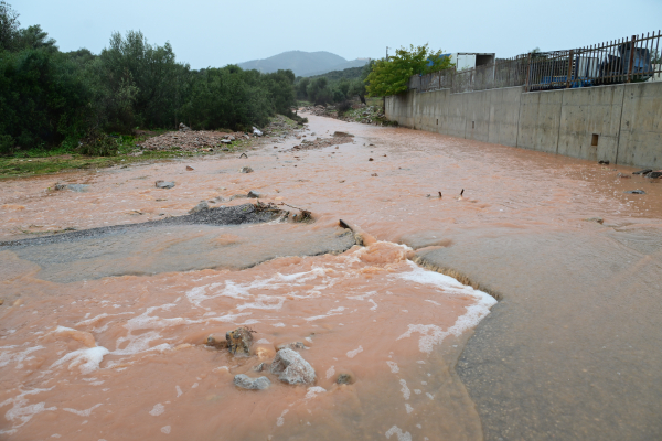 Κολυδάς: Μεγαλύτερος ο όγκος νερού σε Νέα Πέραμο απ' ό,τι στη Μάνδρα το 2017