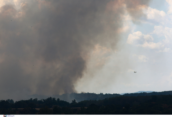 Συναγερμός στην Πυροσβεστική για μεγάλη φωτιά στη Νάξο