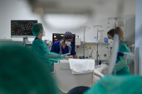 Ευλογιά των πιθήκων: Συναγερμός με κρούσματα σε Ευρώπη και Αμερική, ποια τα συμπτώματα