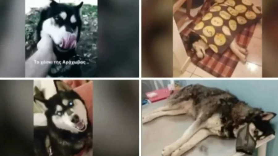 Ανατροπή στην υπόθεση Όλιβερ: «Η κατάθεσή μου αλλάζει τα δεδομένα - Θα μιλήσω δημόσια αν δεν αποδοθεί δικαιοσύνη»