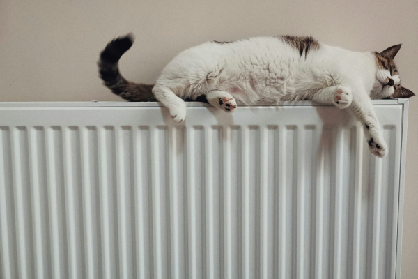 Επίδομα θέρμανσης 2025-2026: Όλα όσα πρέπει να γνωρίζετε για τις προθεσμίες και τα κριτήρια