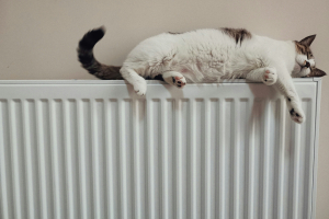 Επίδομα θέρμανσης 2025-2026: Όλα όσα πρέπει να γνωρίζετε για τις προθεσμίες και τα κριτήρια