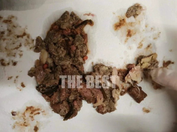 Ποντικοφάρμακο και γυαλιά σε κιμά, έξω από pet shop - Δυο νεκρά γατάκια