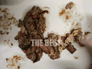 Ποντικοφάρμακο και γυαλιά σε κιμά, έξω από pet shop - Δυο νεκρά γατάκια