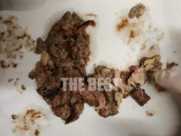 Ποντικοφάρμακο και γυαλιά σε κιμά, έξω από pet shop - Δυο νεκρά γατάκια