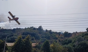 Φωτιά στην Ναύπακτο: Παραλίγο τραγωδία, canadair χτύπησε κορυφή δέντρου (video)