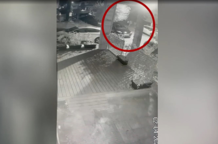 Νέα Ιωνία: Πέταξε στα σκουπίδια 4 κουταβάκια - Της ασκήθηκε πρόστιμο 120.000 ευρώ