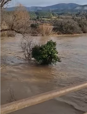 Ηλεία: Αυξημένη στάθμη στον Αλφειό (video) - Σε κατάσταση ετοιμότητας ο Δ. Αρχαίας Ολυμπίας για μεγάλο όγκο νερού
